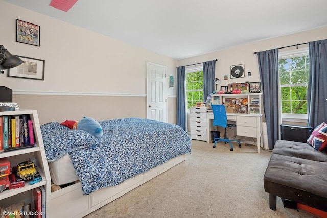26 Alice Ln, Lake Barrington, IL 60010 - bedroom featuring carpet floors
