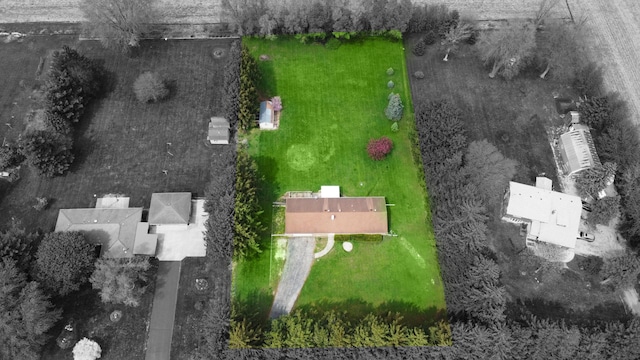 drone / aerial view