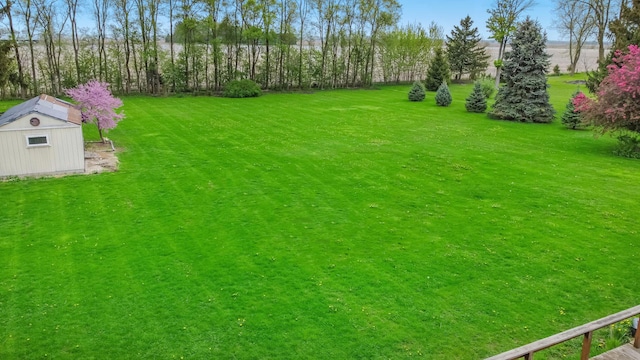 view of yard featuring an outdoor structure and a storage unit