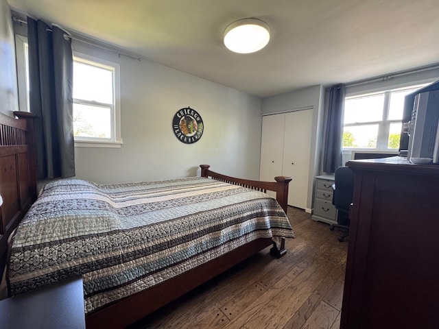 660 Londonberry Ln, Bolingbrook, IL 60440 - bedroom featuring dark wood-style floors and a closet