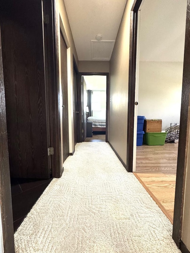 660 Londonberry Ln, Bolingbrook, IL 60440 - hall with carpet flooring and attic access
