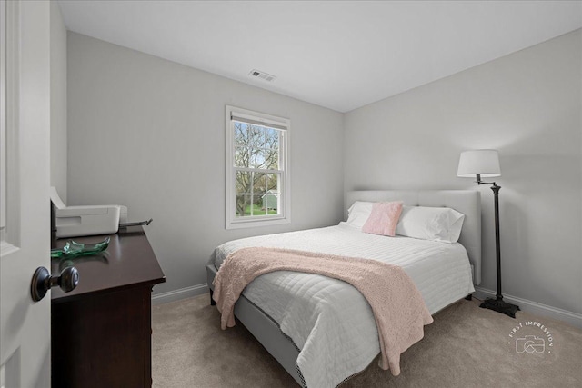 1238 S 10th St, Saint Charles, IL 60174 - photo 21