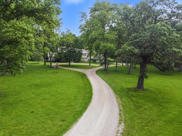 view of community with a lawn and driveway