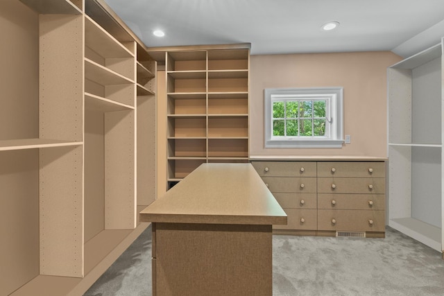 spacious closet with carpet floors