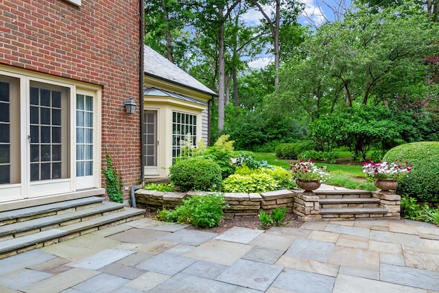 view of patio featuring entry steps