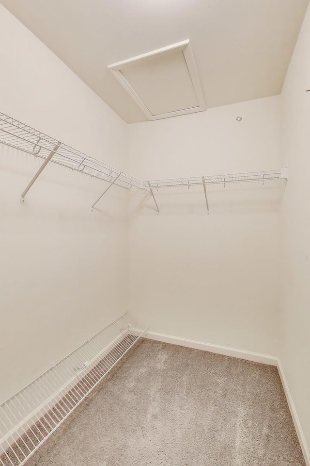spacious closet with carpet floors