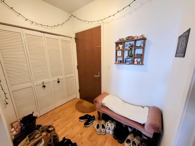 1255 S State St Unit 906, Chicago, IL 60605 - interior space featuring a closet and wood finished floors