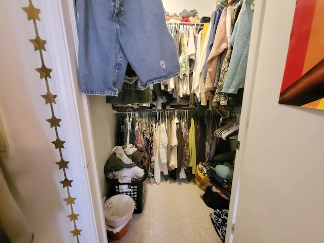 1255 S State St Unit 906, Chicago, IL 60605 - spacious closet featuring carpet