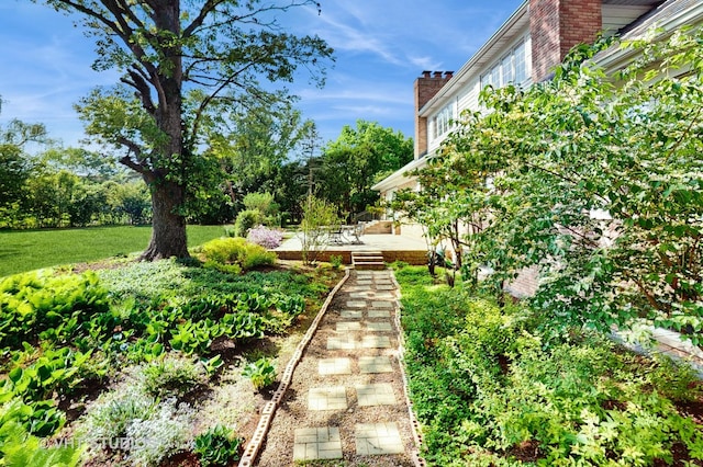 8980 N Enclave Dr, Burr Ridge, IL 60527 - view of yard featuring a patio