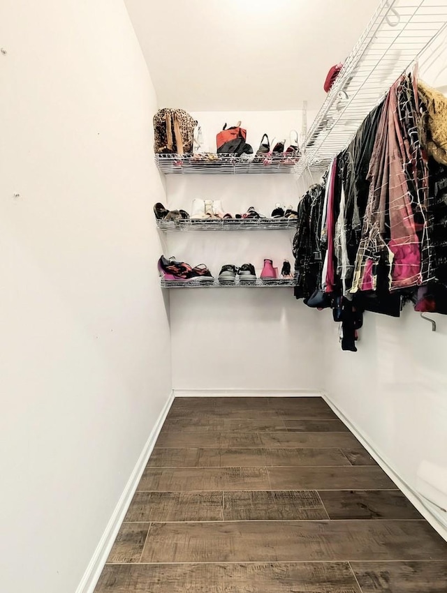 spacious closet featuring wood finished floors