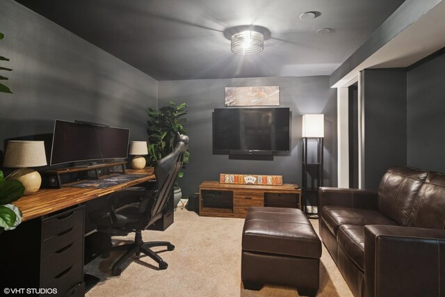 5632 Oakwood Cir, Long Grove, IL 60047 - view of carpeted office