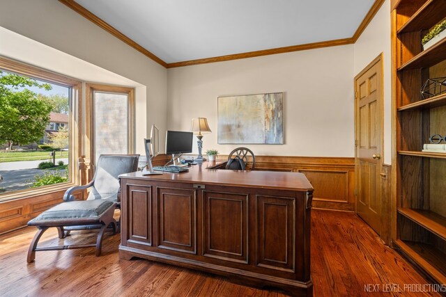 office featuring ornamental molding, wainscoting, and dark wood-type flooring
