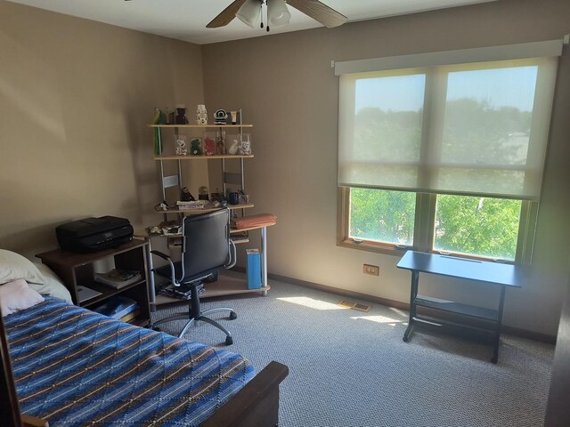 8730 Henry St, Orland Park, IL 60462 - office with carpet floors, a ceiling fan, and baseboards