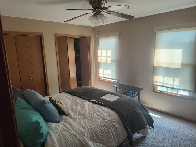 8730 Henry St, Orland Park, IL 60462 - bedroom featuring carpet flooring, multiple windows, multiple closets, and ceiling fan
