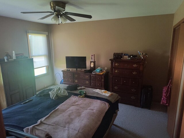 8730 Henry St, Orland Park, IL 60462 - bedroom featuring carpet floors and a ceiling fan