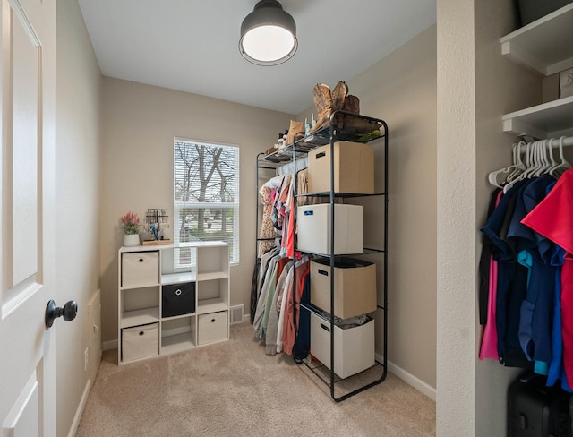 112 E Page St, Elkhorn, WI 53121 - walk in closet featuring carpet flooring and visible vents