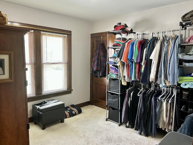 spacious closet featuring carpet floors