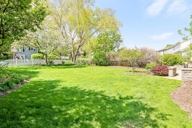2825 Colonial Dr, Elgin, IL 60124 - view of yard