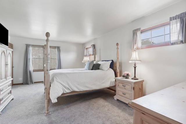 2835 Randall Ridge Ct, Elgin, IL 60124 - bedroom featuring light carpet