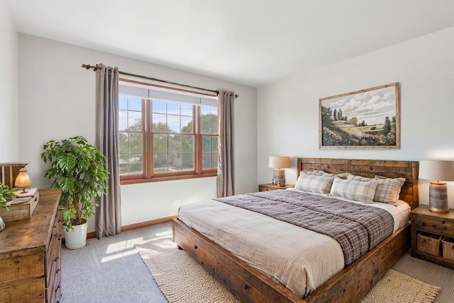 2835 Randall Ridge Ct, Elgin, IL 60124 - bedroom featuring carpet flooring and baseboards