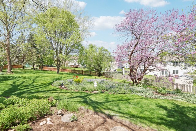 2835 Randall Ridge Ct, Elgin, IL 60124 - view of yard
