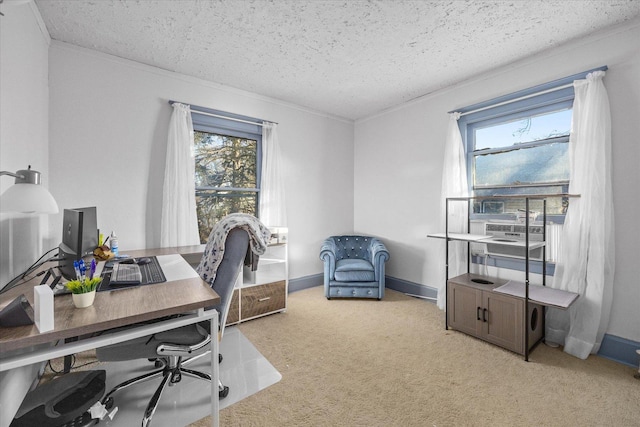 141 Park Ave, Dekalb, IL 60115 - home office with ornamental molding, light carpet, a textured ceiling, and a wealth of natural light