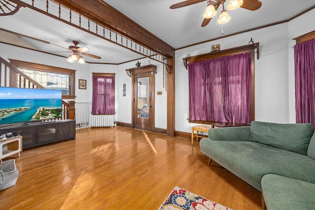141 Park Ave, Dekalb, IL 60115 - living area featuring ornamental molding, radiator, ceiling fan, and wood finished floors
