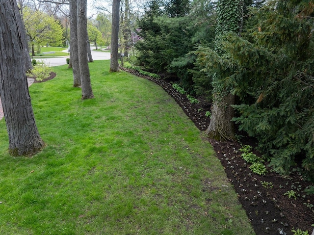 view of grassy yard