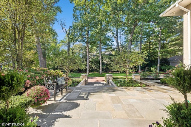 view of home's community featuring a patio and view of wooded area