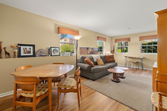 living area featuring wood finished floors and baseboards