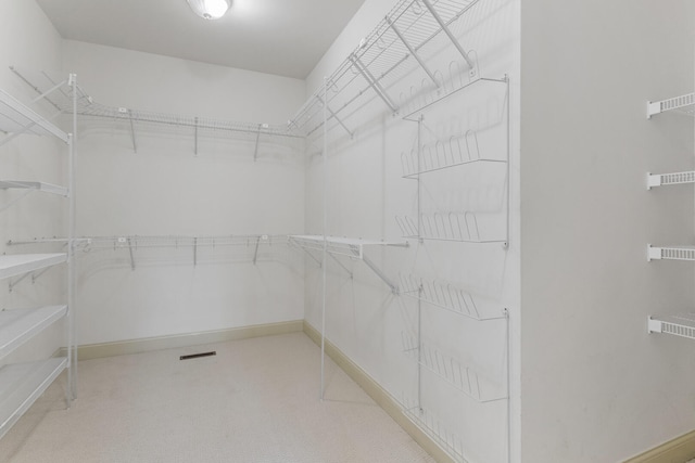 walk in closet with carpet flooring
