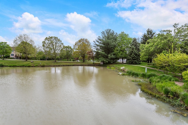 water view featuring a tree filled landscape