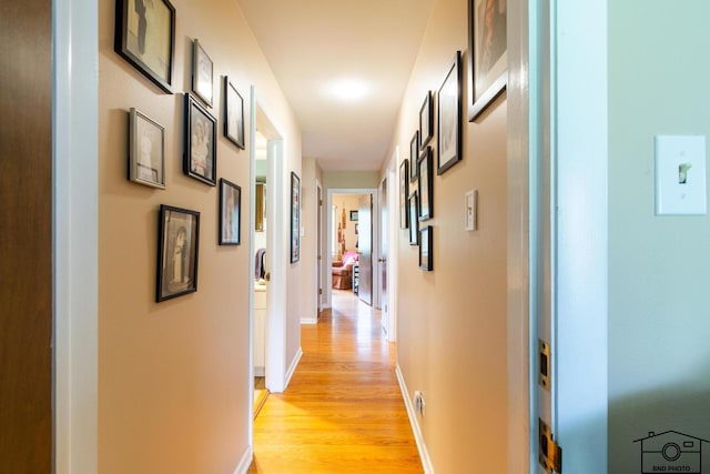 2312 Robertson Ln, Flossmoor, IL 60422 - hall featuring light wood-type flooring and baseboards