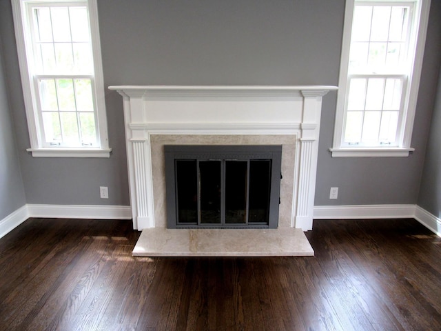 detailed view of a glass covered fireplace, wood finished floors, and baseboards