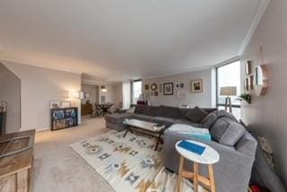 living room with carpet flooring and ornamental molding