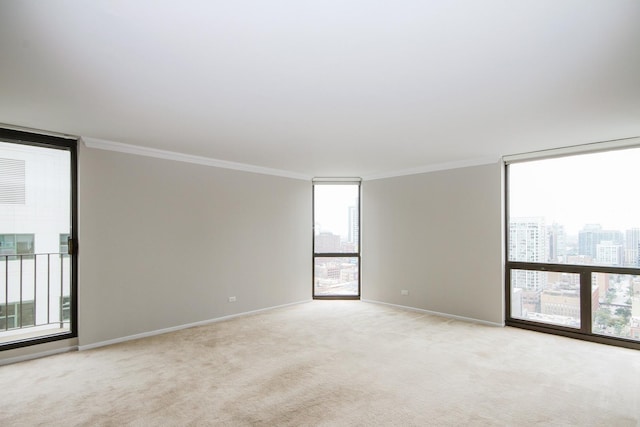 unfurnished room featuring ornamental molding, light carpet, a healthy amount of sunlight, and expansive windows
