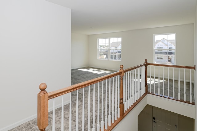 staircase featuring baseboards and carpet