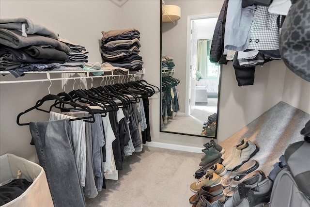436 Yorktown Ct, Aurora, IL 60504 - spacious closet with carpet flooring