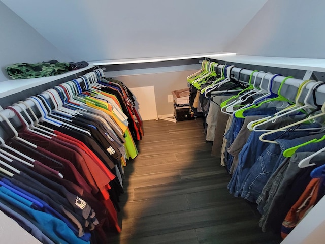 spacious closet with wood finished floors