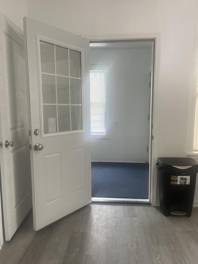 entryway with wood finished floors