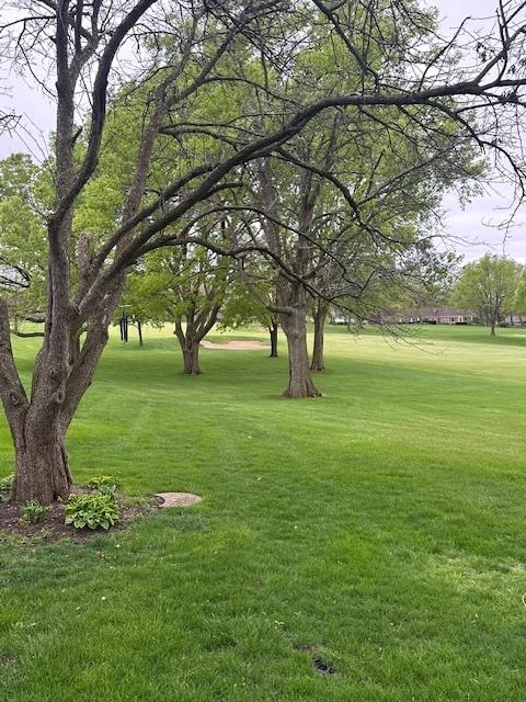 view of green lawn