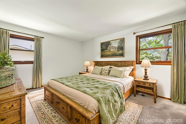 6540 Terrace Dr, Downers Grove, IL 60516 - bedroom with light carpet and baseboards