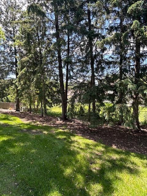 6540 Terrace Dr, Downers Grove, IL 60516 - view of yard