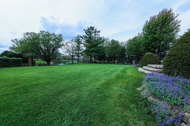 2835 N Bulrush Ct, Coal City, IL 60416 - view of grassy yard