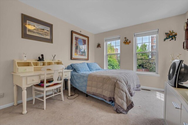 8207 Lincoln Ave, Skokie, IL 60077 - photo 29