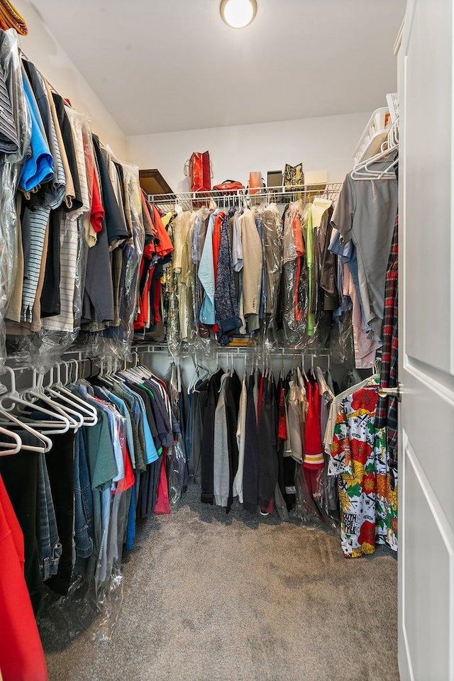 11130 Alpine Ln, Orland Park, IL 60467 - walk in closet featuring carpet
