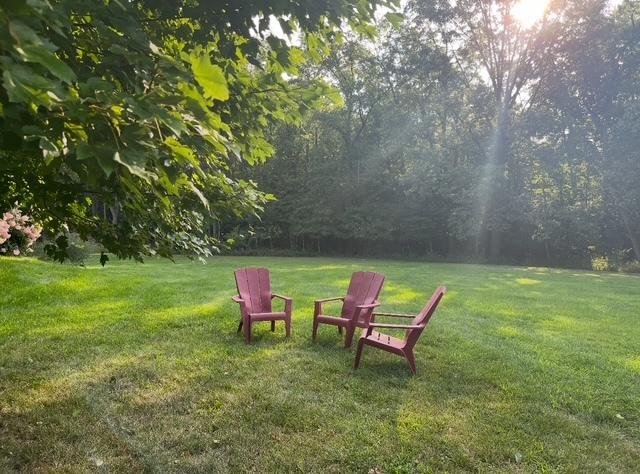 view of green lawn