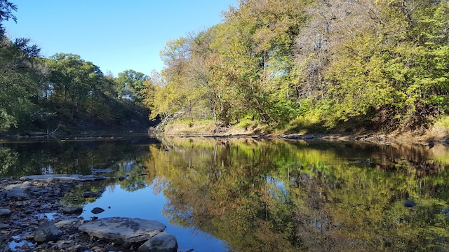 water view featuring a forest