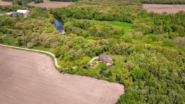 aerial view of a forest