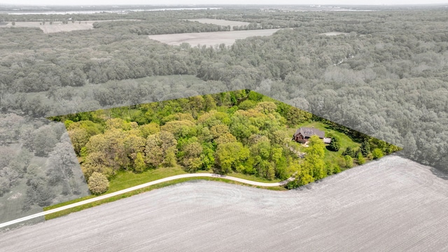 aerial view of a forest